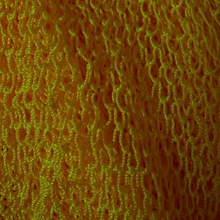 Ghanaian Exfoliating Sponge